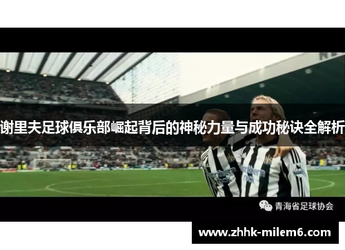 谢里夫足球俱乐部崛起背后的神秘力量与成功秘诀全解析 谢里夫足球俱乐部崛起背后的神秘力量与成功秘诀全解析