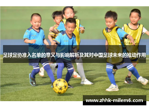 足球足协准入名单的意义与影响解析及其对中国足球未来的推动作用