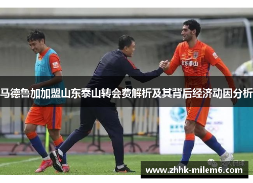 马德鲁加加盟山东泰山转会费解析及其背后经济动因分析