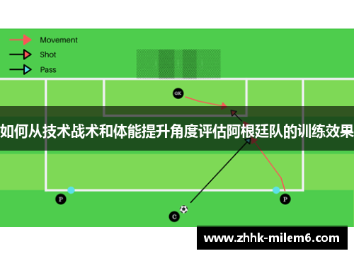 如何从技术战术和体能提升角度评估阿根廷队的训练效果